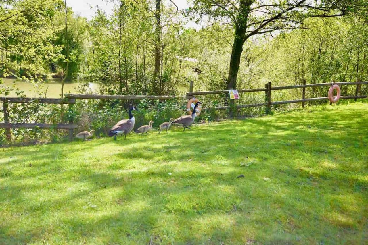 E7 Roebeck Country Park Villa Ryde  Ngoại thất bức ảnh